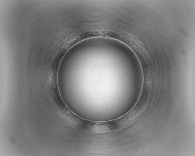 X0000116760270200912171442