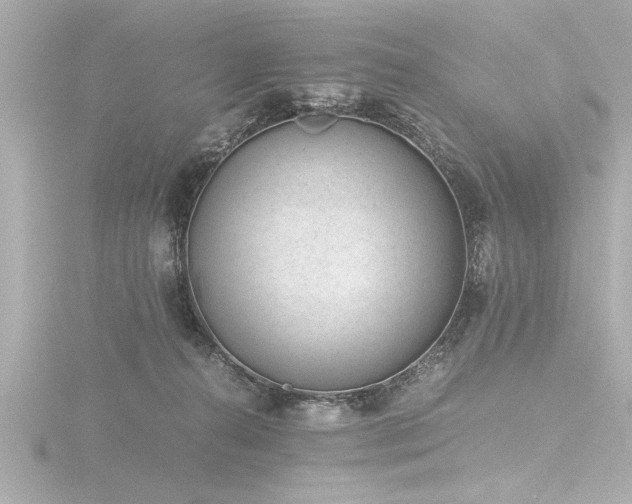 X0000116760272200912171442