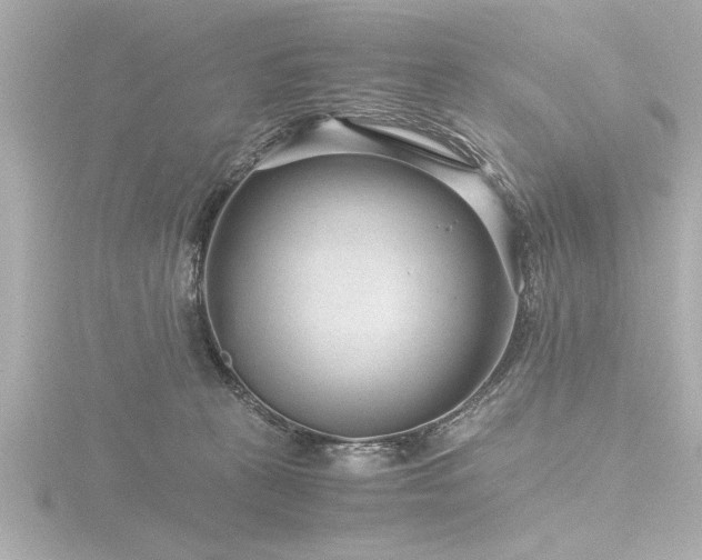X0000116760273200912171442