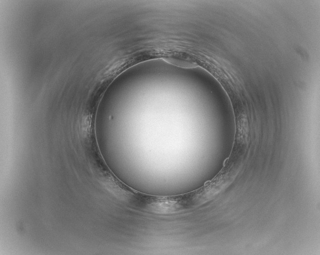 X0000116760278200912171442