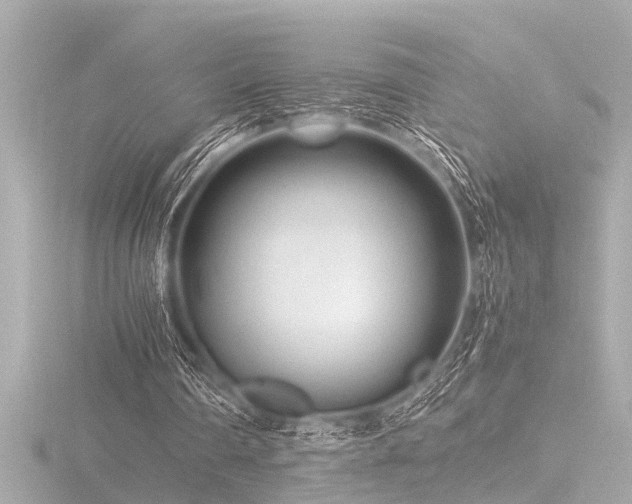 X0000116760290200912171441