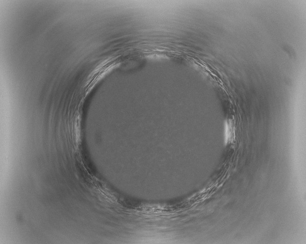 X0000116760291200912171441