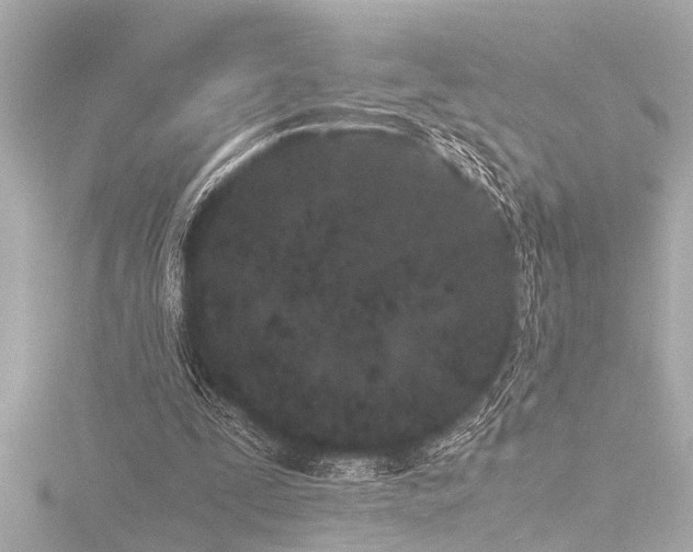 X0000116760295200912171441
