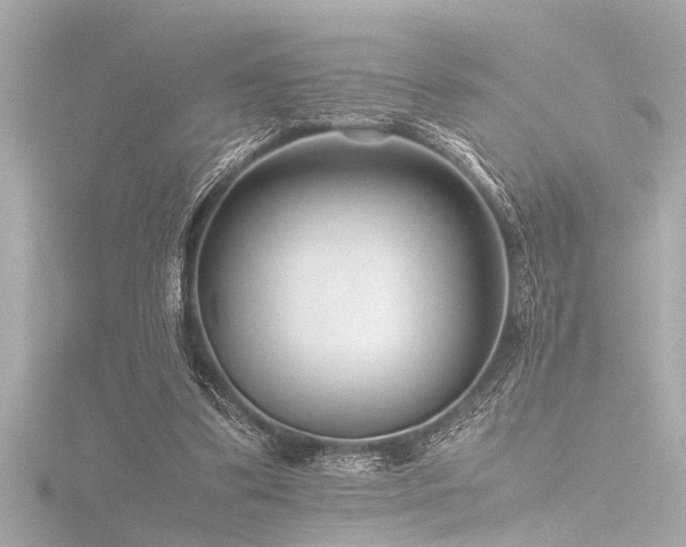 X0000116760299200912171441