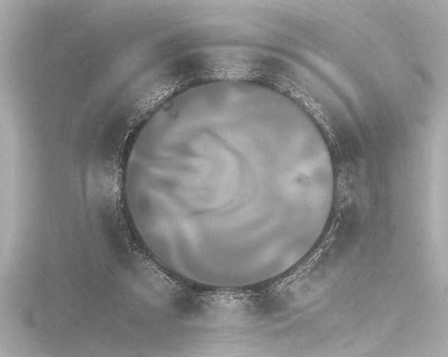 X0000116760305200912171441