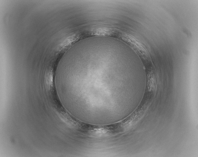 X0000116760310200912171441