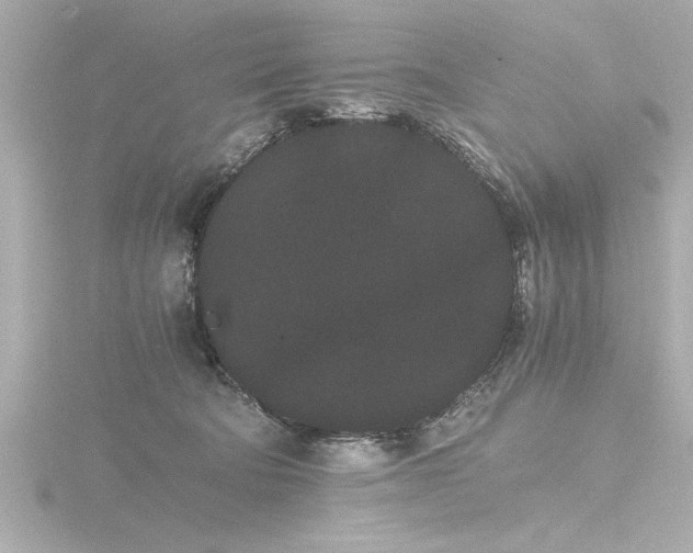 X0000116760322200912171441