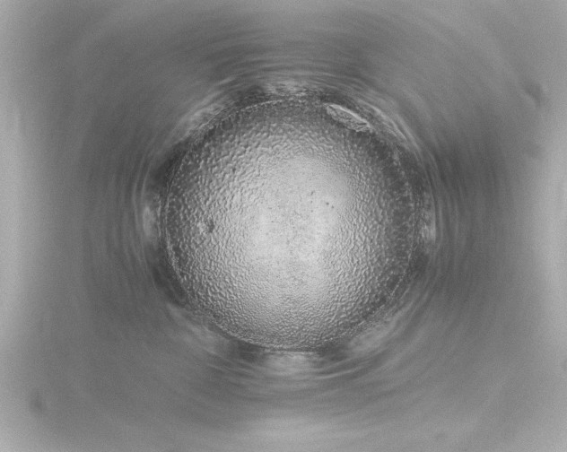 X0000116760332200912171441