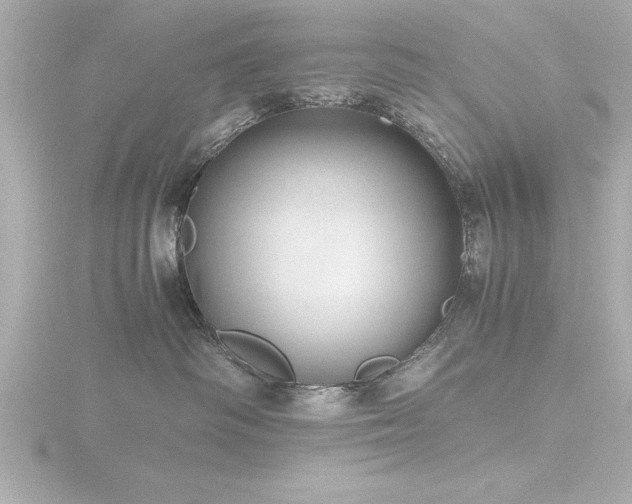 X0000116760334200912171441