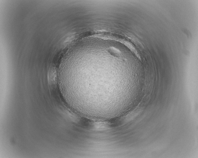 X0000116760336200912171441