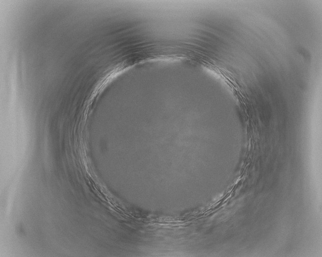 X0000116760337200912171440