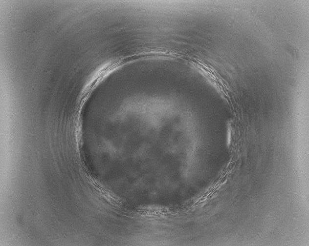 X0000116760339200912171440