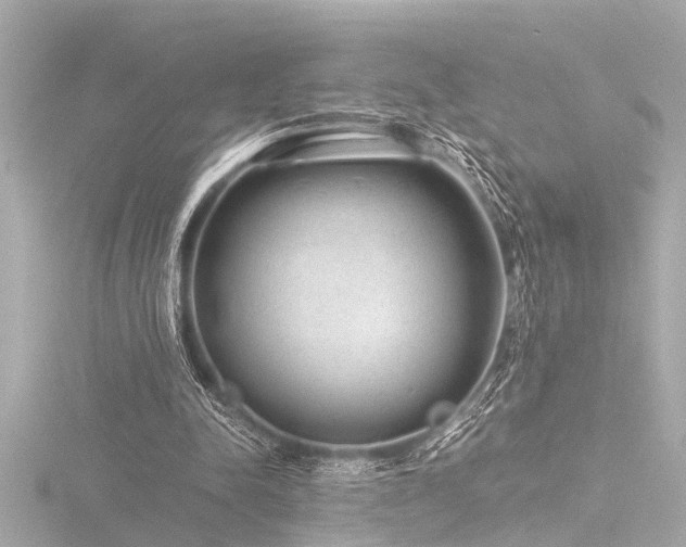 X0000116760342200912171440