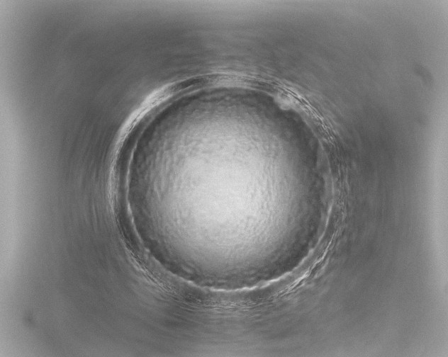 X0000116760343200912171440
