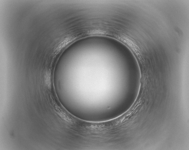 X0000116760345200912171440