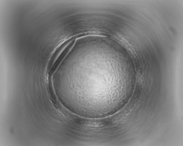 X0000116760347200912171440