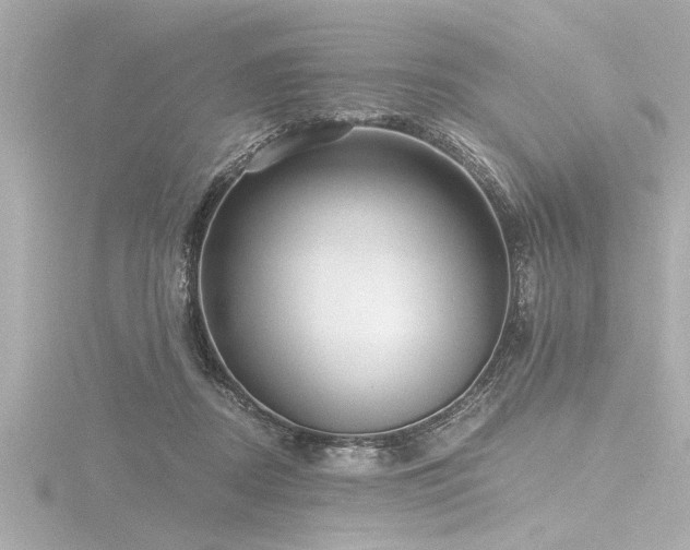 X0000116760362200912171440