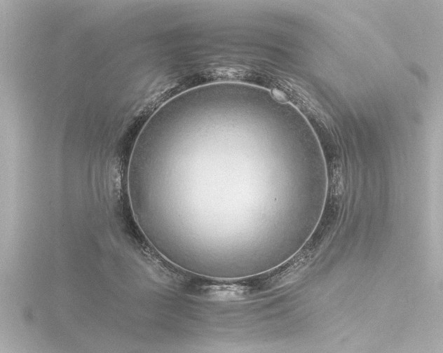 X0000116760363200912171440