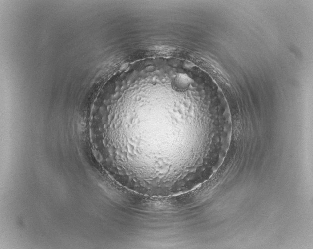 X0000116760365200912171440