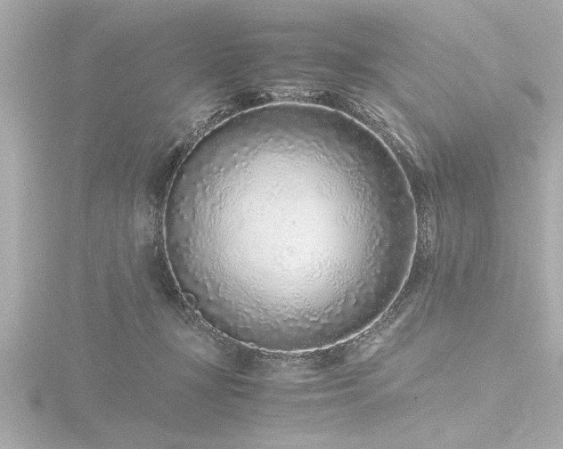 X0000116760367200912171440