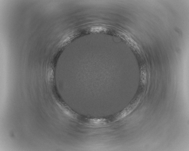X0000116760375200912171440