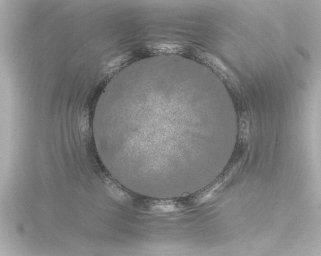 X0000116760377200912171440