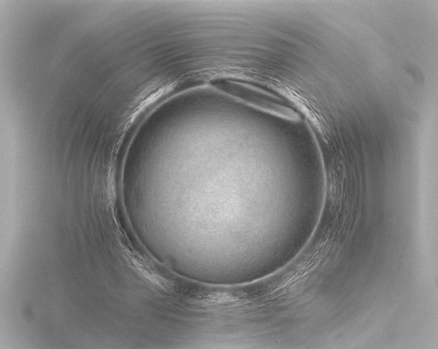 X0000116760390200912171440