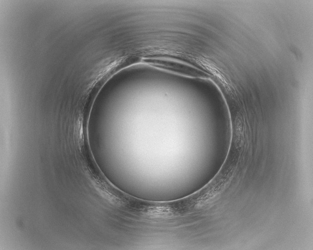 X0000116760398200912171440