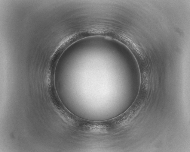 X0000116760400200912171440