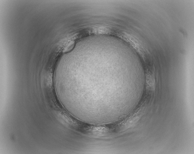 X0000116760401200912171440