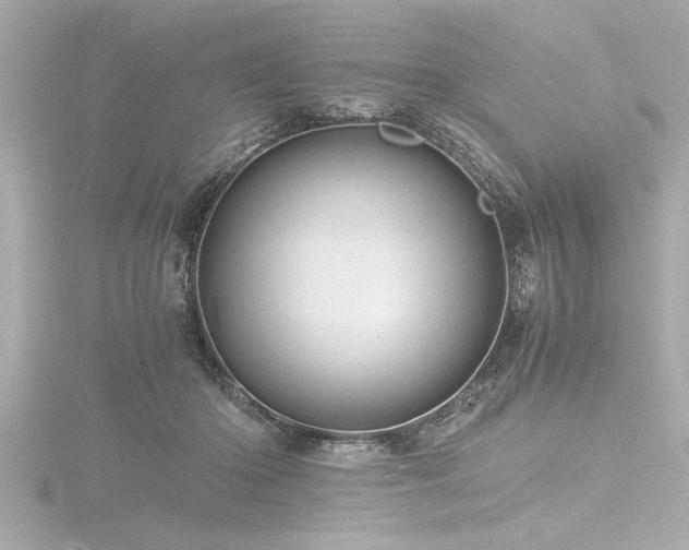 X0000116760414200912171439