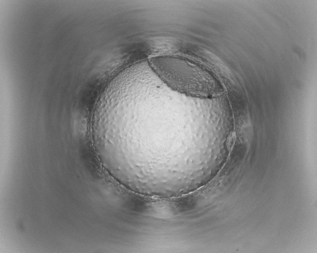 X0000116760417200912171439
