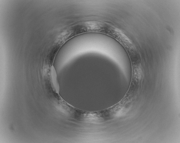 X0000116760419200912171439