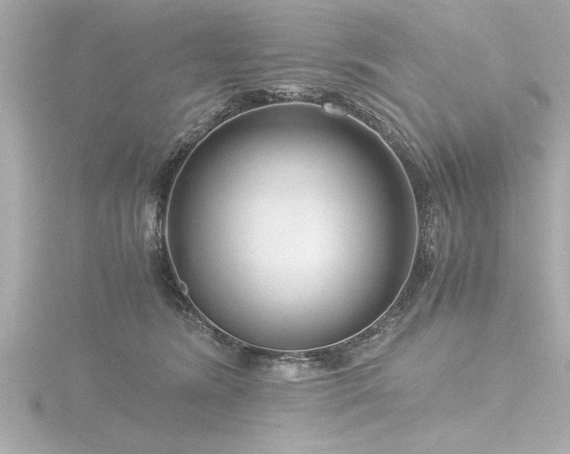 X0000116760420200912171439