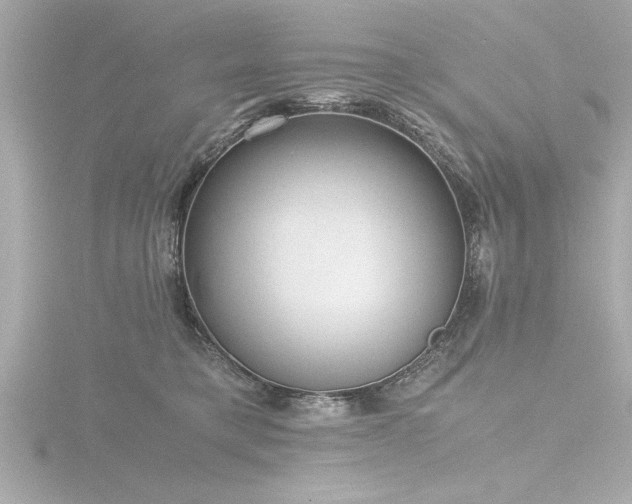 X0000116760421200912171439