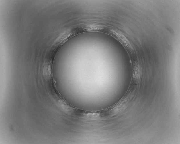 X0000116760426200912171439