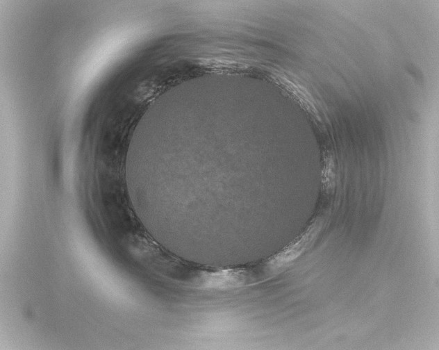 X0000116760430200912171439