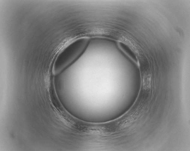 X0000116760436200912171439