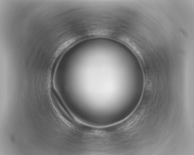 X0000116760437200912171439