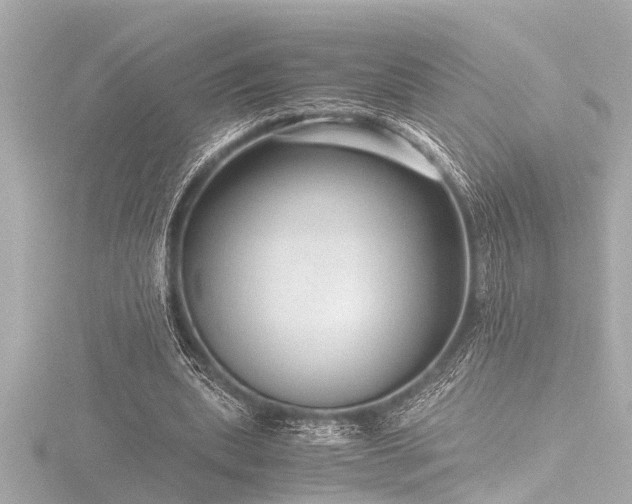 X0000116760439200912171439