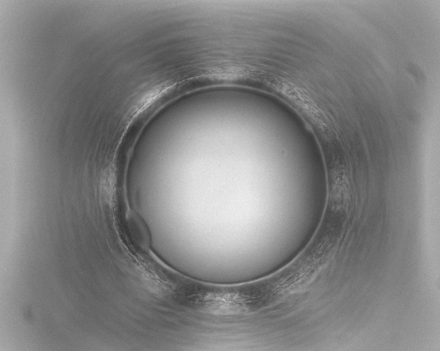 X0000116760440200912171439