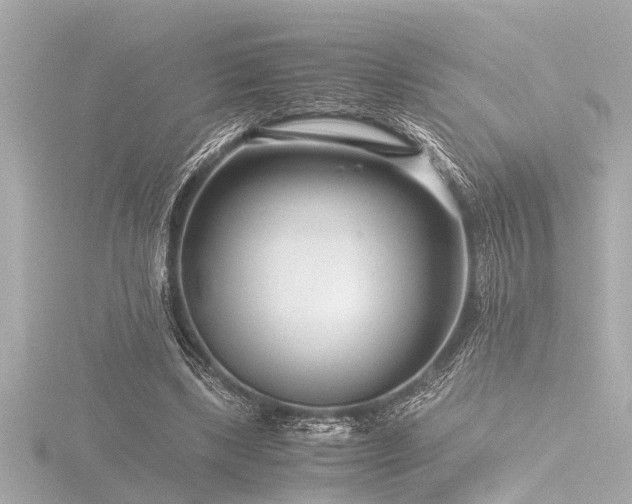 X0000116760443200912171439
