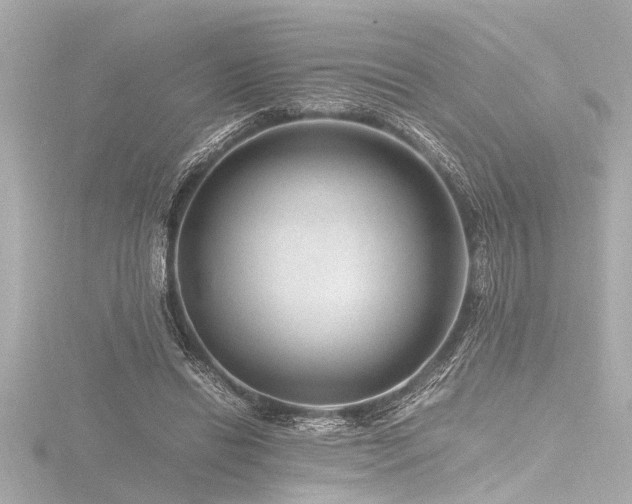 X0000116760446200912171439