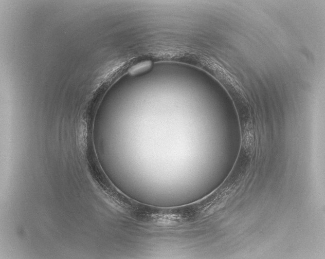 X0000116760448200912171439