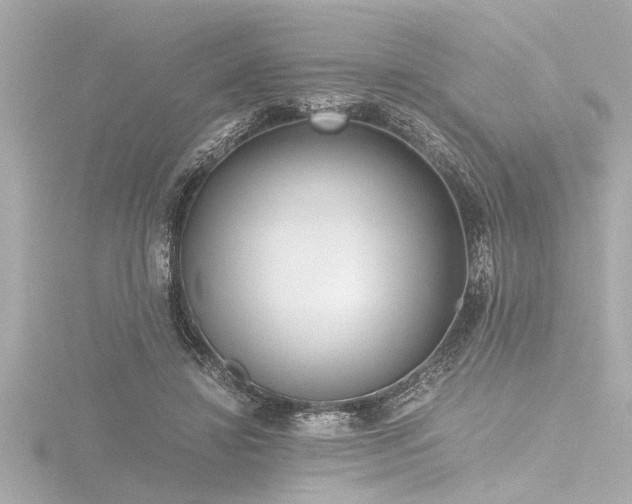 X0000116760452200912171439