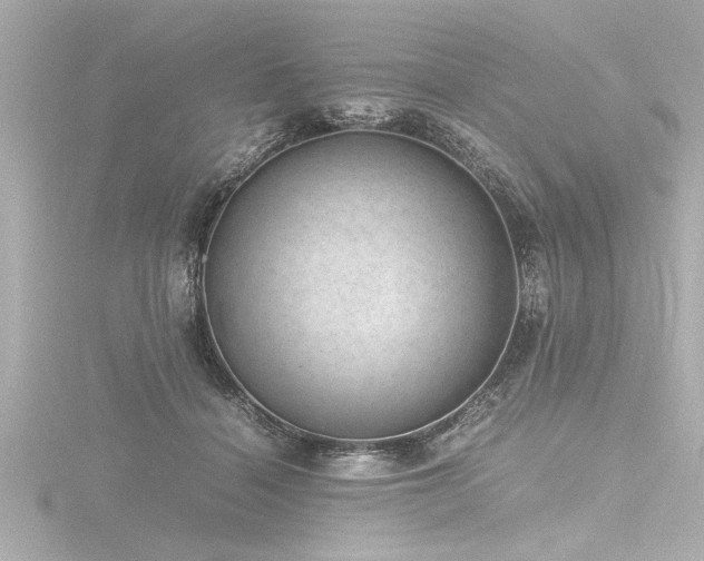 X0000116760460200912171439