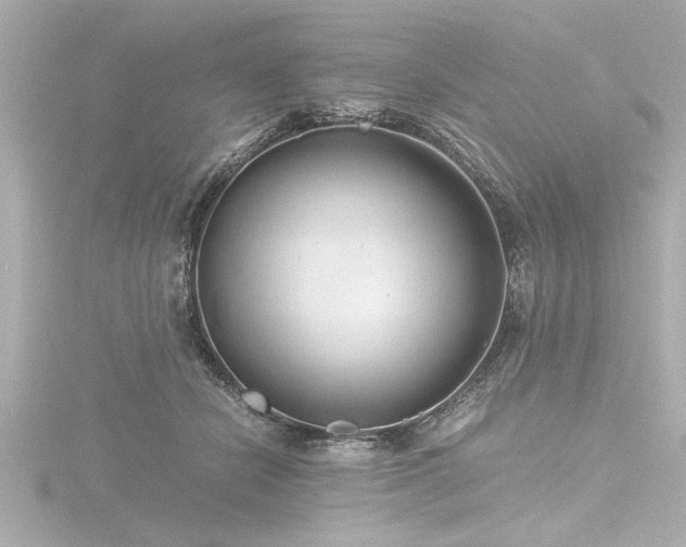 X0000116760462200912171439