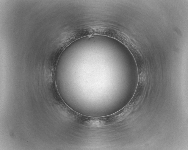 X0000116760464200912171439