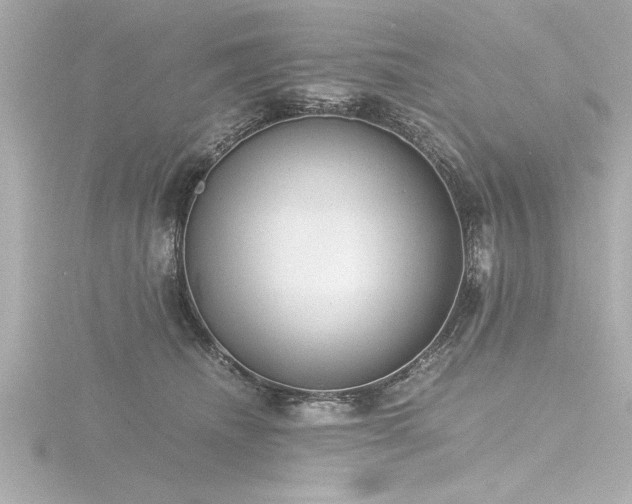 X0000116760468200912171439
