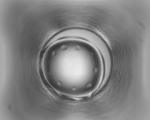 X0000116760485200912171438